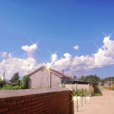 海底消消官方下载