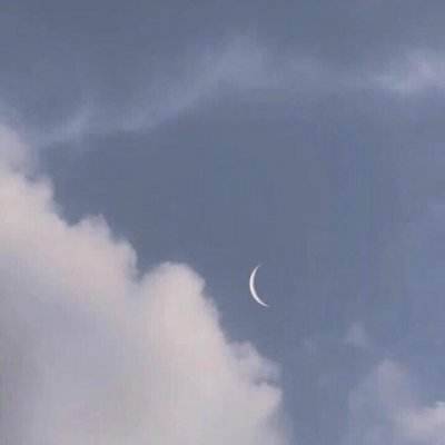 极品小知县超v版下载